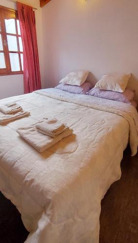 Magallanes - Apartment - Ushuaia