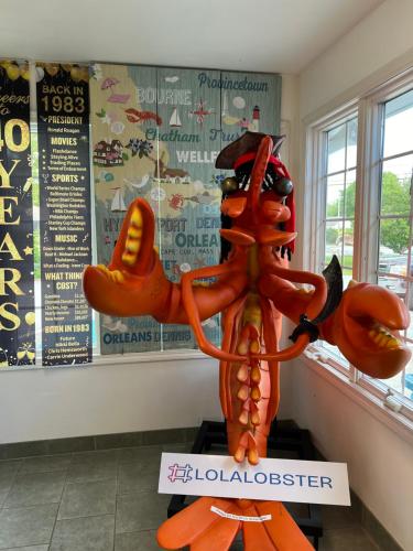 A charm Cape house centrally located close to everything that Cape code offers A charm Cape house centrally located close to everything that Cape code offers