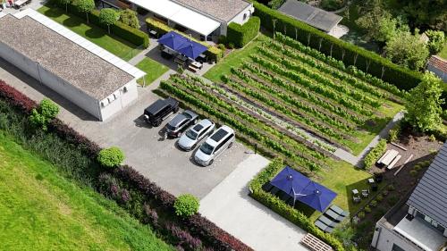 B&B Abalona - image 14