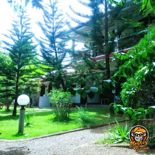 The Monkey Garden