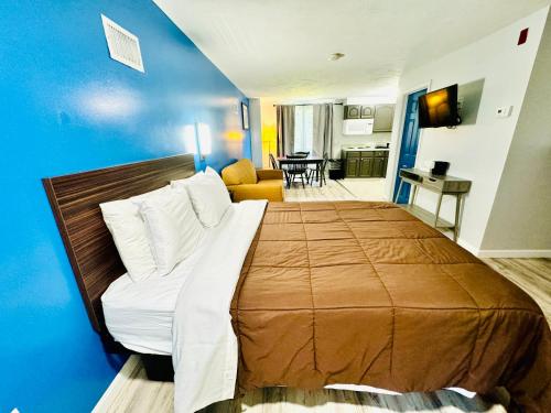 Blue Spruce in 普利茅斯 (MA)