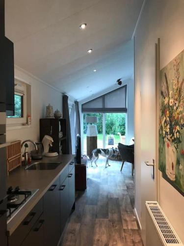 Chalet 'Het Vinkje' in Oosterwolde