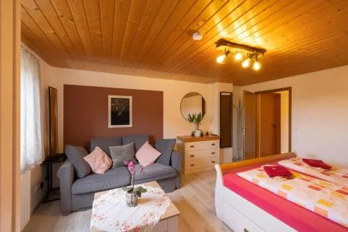 Ferienhof Gerda - Ferienwohnung Schwalbennest in Oberkirnach, Deutschland