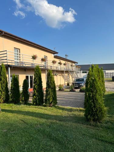 Ararauna in Czestochowa