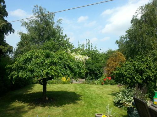 Field View B&B - image 2