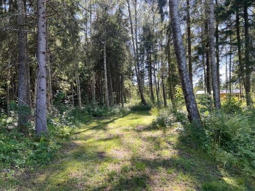 Dārzs, Marika Puhkeküla - Metsanurga Puhkemaja "Barrel Sauna included" (Marika Puhkekula - Metsanurga Puhkemaja "Barrel Sauna included") in Nova Vald