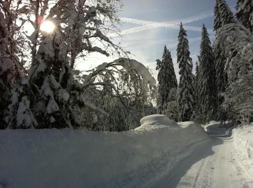 Zur lieben Sonne