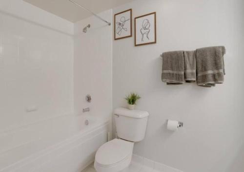 Spacious Apartment With 2 Bedrooms in Arlington, USA