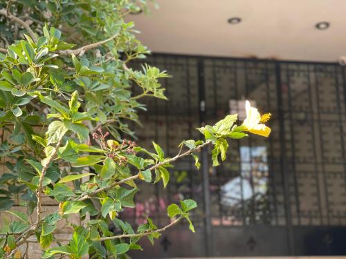 مدينة النصر