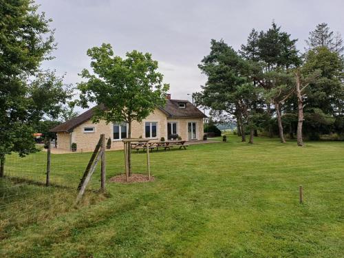 Les mésanges, Rochefort (photo 4)