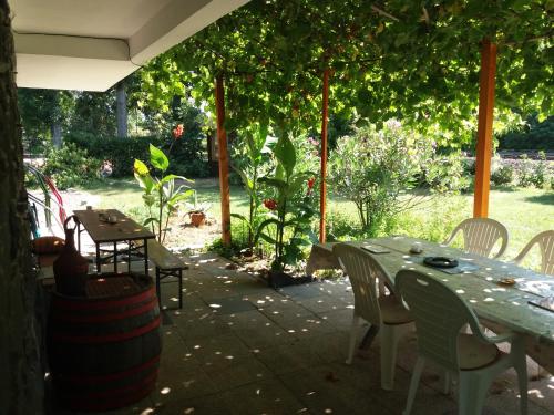 Facilities, Majestic Apartmanhaz Badacsony in Badacsonytomaj