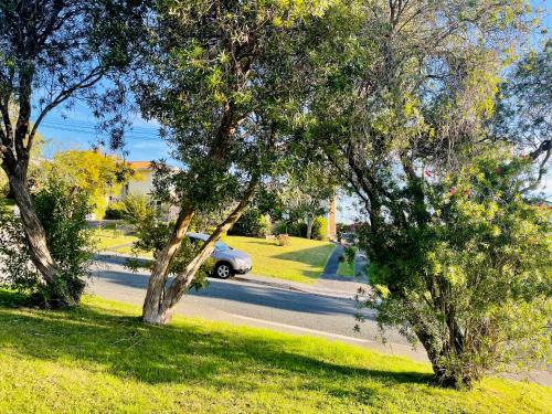 Ball Place Residence-Enjoy the entire downstairs