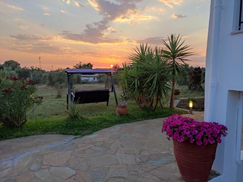 Gaia Olives Villa Gaia Olives Villa