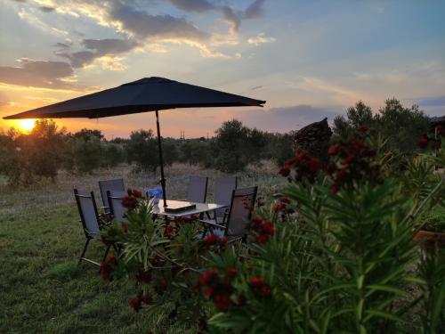 Gaia Olives Villa Gaia Olives Villa