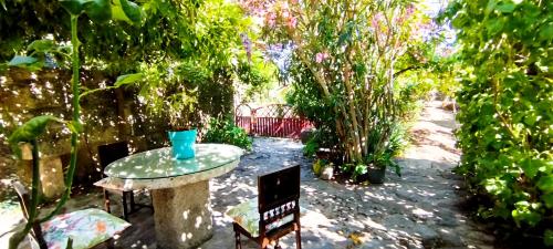 สวน, ROSA XVI - Garden Guest House in กาสเตโล โรดริโก