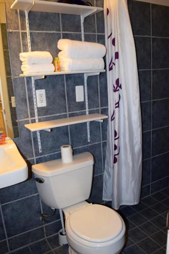 Detroit Vacation Rentals