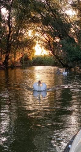 Casa Traditionala Clisciova in 穆里格凱奧爾