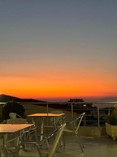 Amelia Apartments - image 3