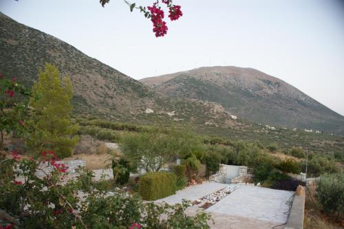 Thelea Mani Thelea Mani