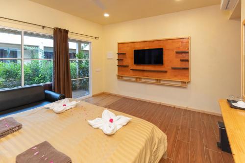 Tranquil Thoddoo, Thoddoo (fotografie 6)