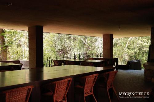 Moleiro da Costa Má - image 6