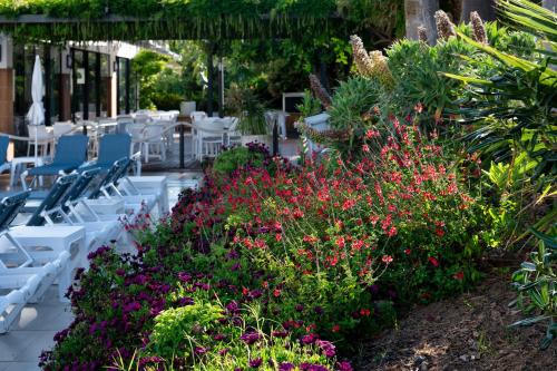 grădină, Aqua Hotel Aquamarina & Spa in Santa Susana