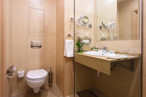 Intourist Kolomenskoye Hotel - image 38