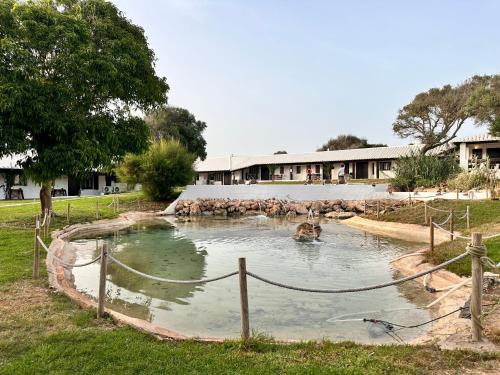 Apartamentos HLG Binivell Park - image 10