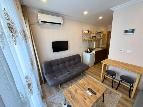 One-Bedroom Family Apartment image 3