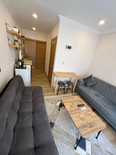 One-Bedroom Family Apartment image 2