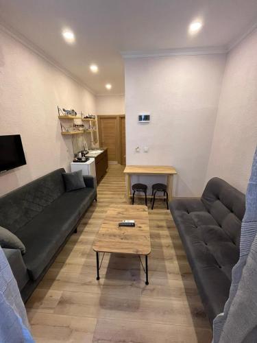One-Bedroom Family Apartment image 1