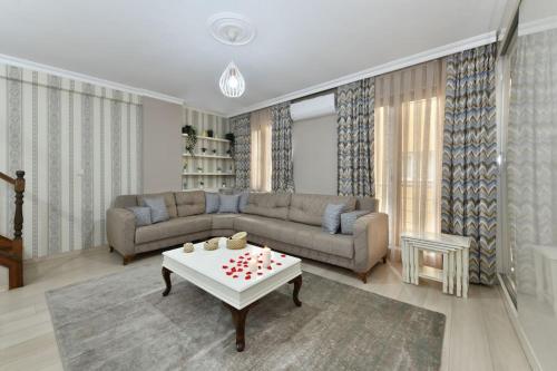 Lion Homes 4 2 - image 3