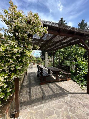 Agriturismo Fattoria Sant'Appiano in ซานตัปปิอาโน