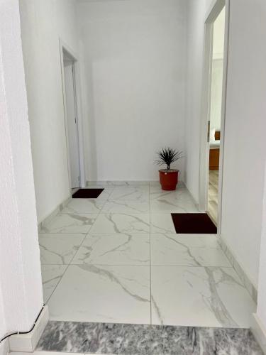 Apartamenti 71 in Pogradec