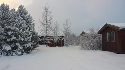 Gesthus Selfoss, Selfoss (foto 5)