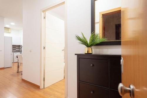 Apartment with Terrace image 10