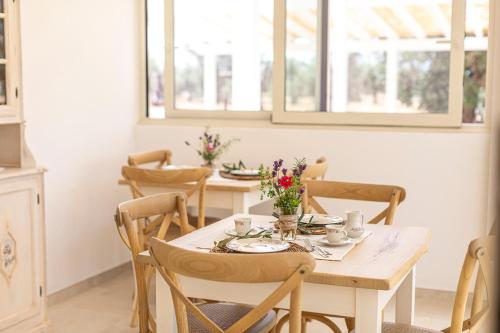 Le Chiese Azienda Bio Agri Turistica 4