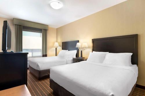 Queen Suite with Two Queen Beds