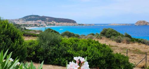 Ile Rousse Guardiola T2 les pieds dans l eau in Monticello