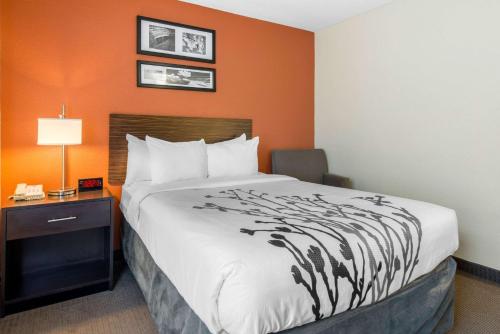 Sleep Inn Sarasota North - image 14