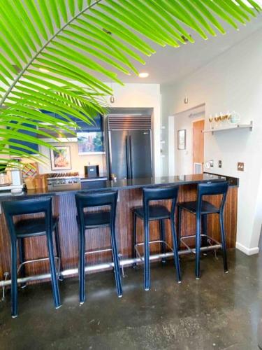 Modern Loft in South Main! in Memphis, USA