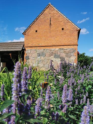 Hage, Friedenfelder Nest in Gerswalde