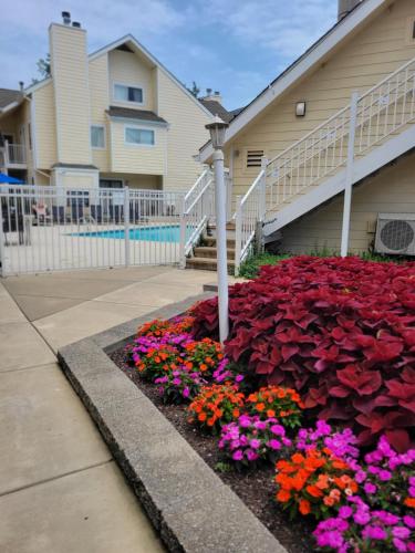 Sonesta ES Suites St. Louis - Chesterfield - image 6