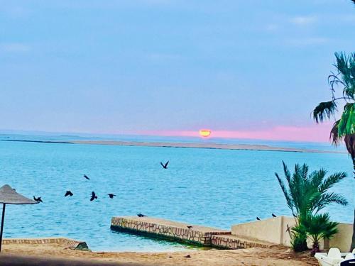 قرية منيه فايد, ‘Ezbet Hasan Sallâm (foto 3)