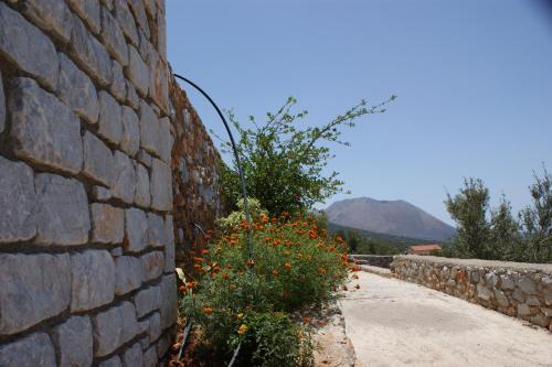 Thelea Mani Thelea Mani