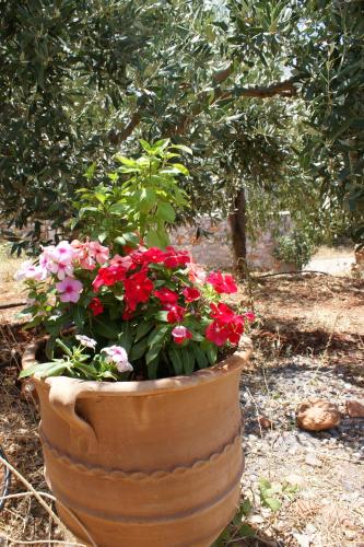 Thelea Mani Thelea Mani