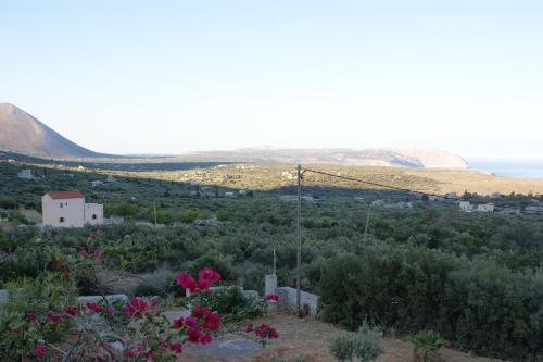 Thelea Mani Thelea Mani