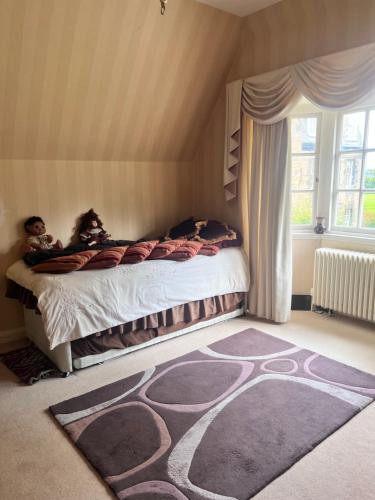 Private Room in Charming Detached House in Newington, Edimburgo (foto 4)