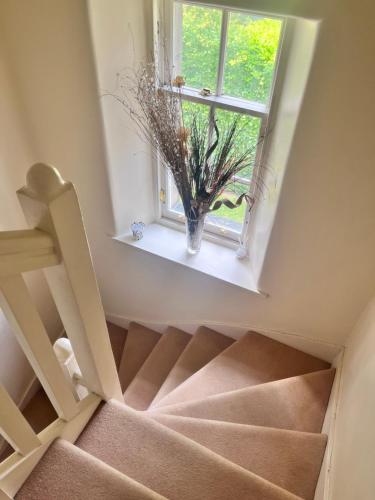 Private Room in Charming Detached House in Newington, Edimburgo (foto 6)