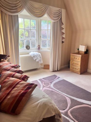 Private Room in Charming Detached House in Newington, Edimburgo (foto 8)